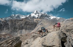 TOP 5 THINGS TO DO IN NEPAL