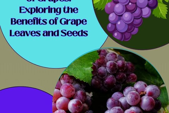 Discover the Nutritional Power of Grape Leaves