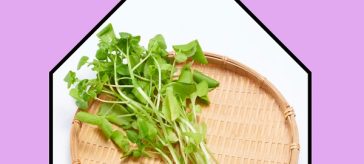 What are the 7 benefits of eating watercress?