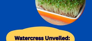 What are the benefits of eating watercress?